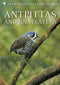 Antpittas and Gnateaters - Greeney, H. F., 2018